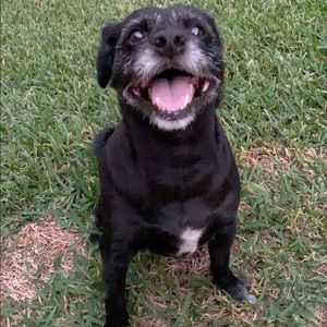 Meet your Posher, Kristina